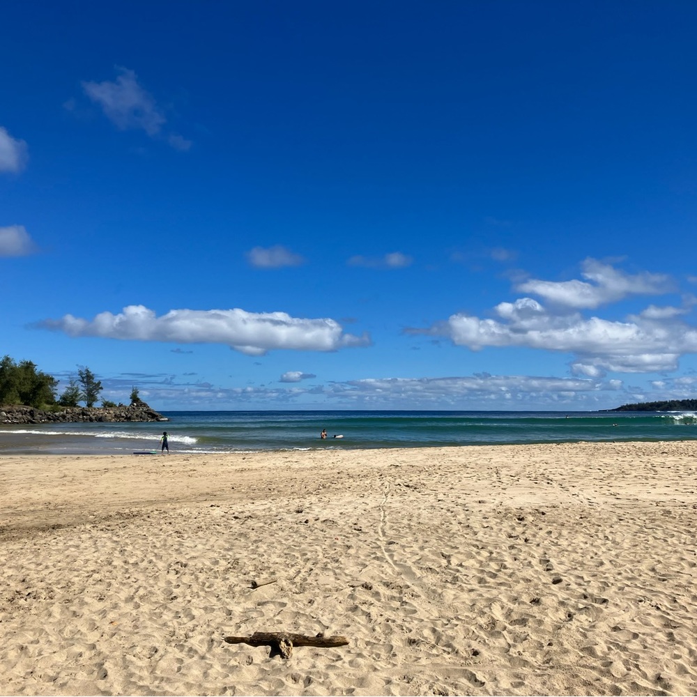 Meet your Posher, Nannie ann